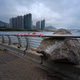 Image for article titled Photos: Super Typhoon Mangkhut mangles all in its path